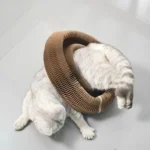 Fun Cardboard Cat Paw Toy with Bell for Scratching - Image 2