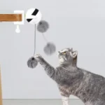 Yo-Yo Electric Lifting Cat Toy – Interactive Automatic Teaser Ball for Cats 🐱 - Image 2