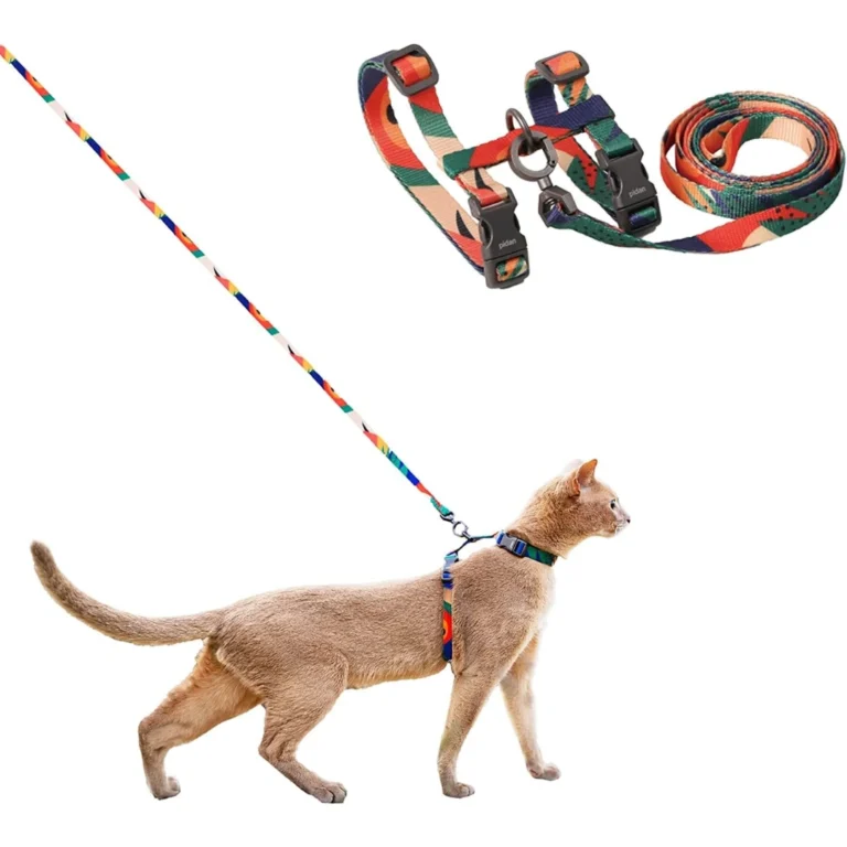 pidan Adjustable Cat Harness & Leash Set – Escape-Proof & Comfortable 🐱